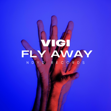 VIGI - Fly Away