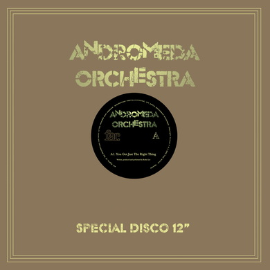 Andromeda Orchestra - You Got Just the Right Thing