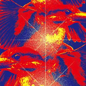 KiKiKaiKai 奇奇怪怪