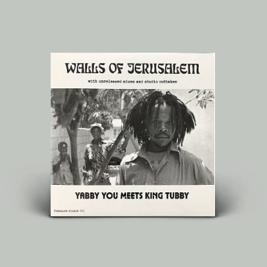 Artist: YABBY YOU meets KING TUBBY : Newtone Records