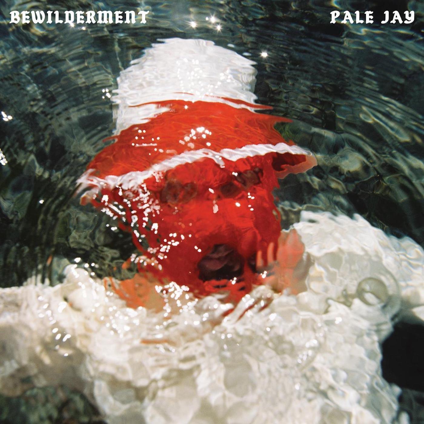 Pale Jay - Bewilderment : LP(Black)+DL