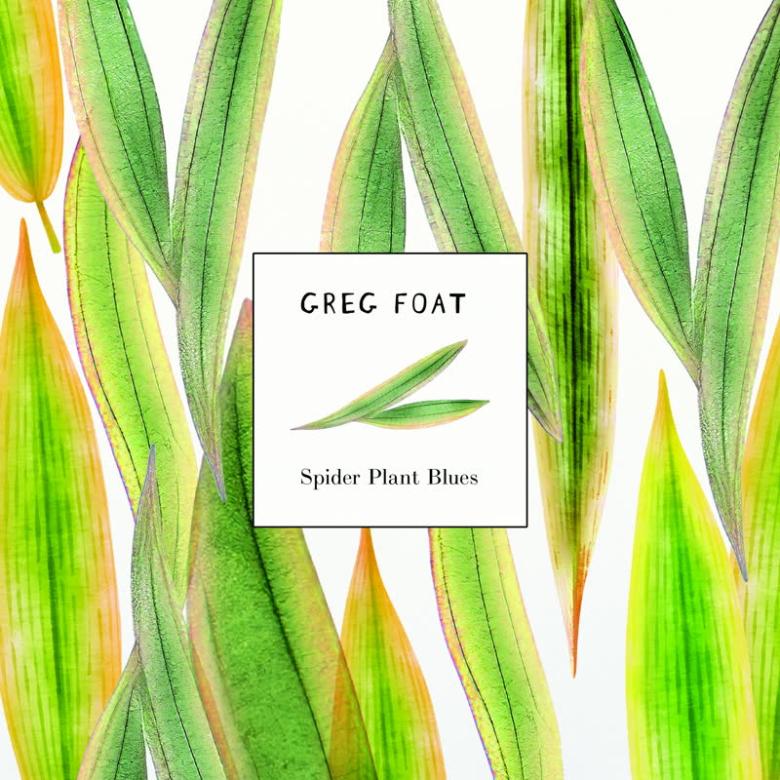Greg Foat - Spider Plant Blues : 7inch