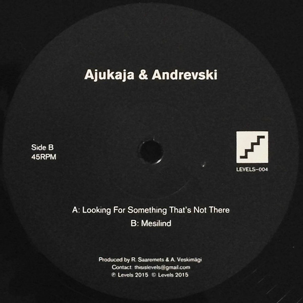 Ajukaja & Andrevski - Looking For Something That's Not There 
