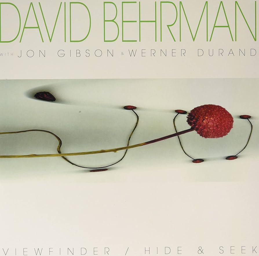 David Behrman - ViewFinder / Hide & Seek : LP