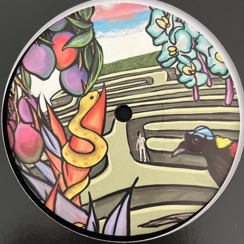 Jona Jefferies - Lost In Paradise (Incl. Max Essa / Eddie C Remixes) : 12inch