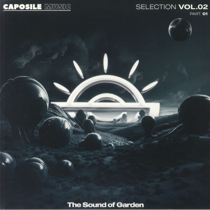 Alex Neri, Manuel De Lorenzi, Francesco Maddalena, Paolo Mosca, Twineffect - The Sound of Garden Vol 2 – Part 1 : 12inch