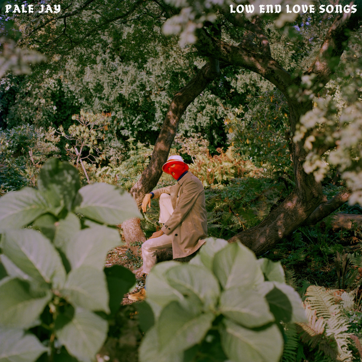 Pale Jay - Low End Love Songs : LP(Black)