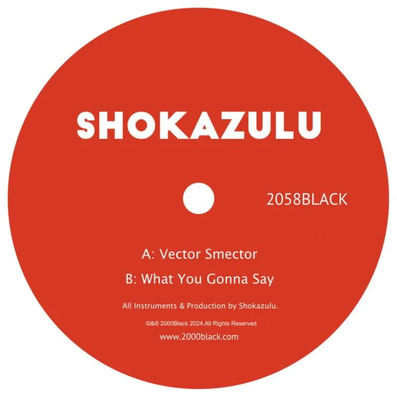 Shokazulu - Vector Smector / What You Gonna Say : 7inch