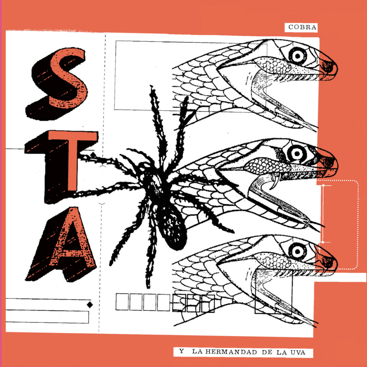 STA - Cobra Y La Hermandad De La Uva : 12inch