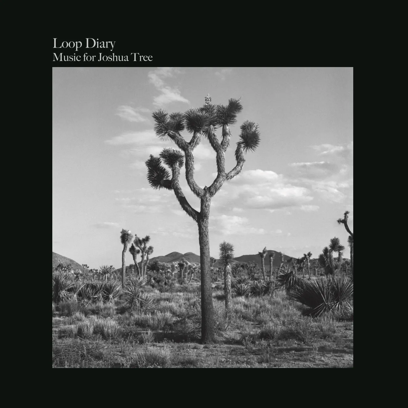 Loop Diary - Music for Joshua Tree : LP