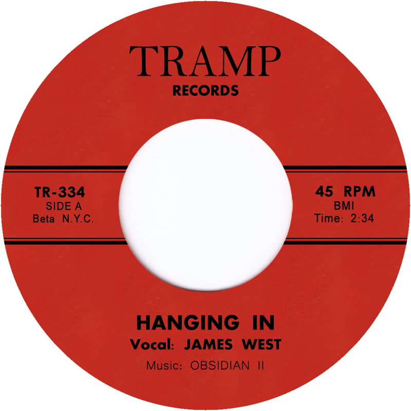 James West - Hanging In : 7inch