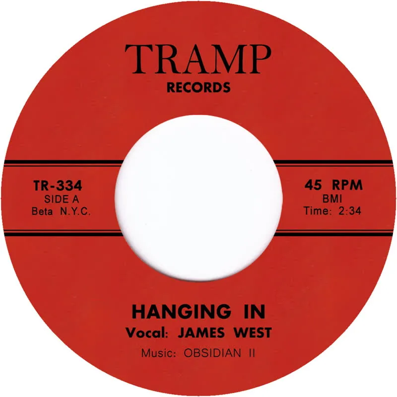 James West - Hanging In : 7inch