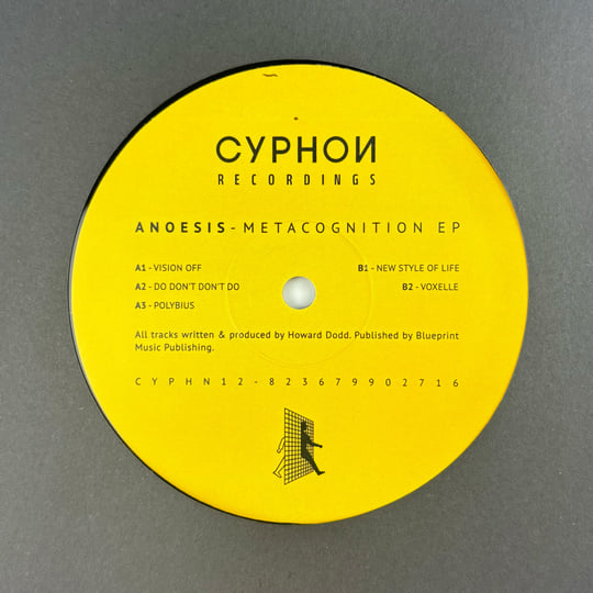 Anoesis - Metacognition EP : 12inch