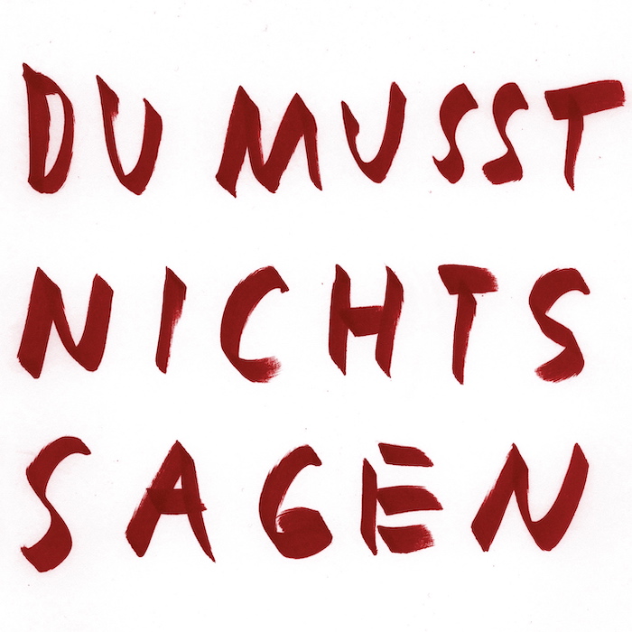 Wolfgang Voigt - Du Musst Nichts Sagen / Remixe : 12inch