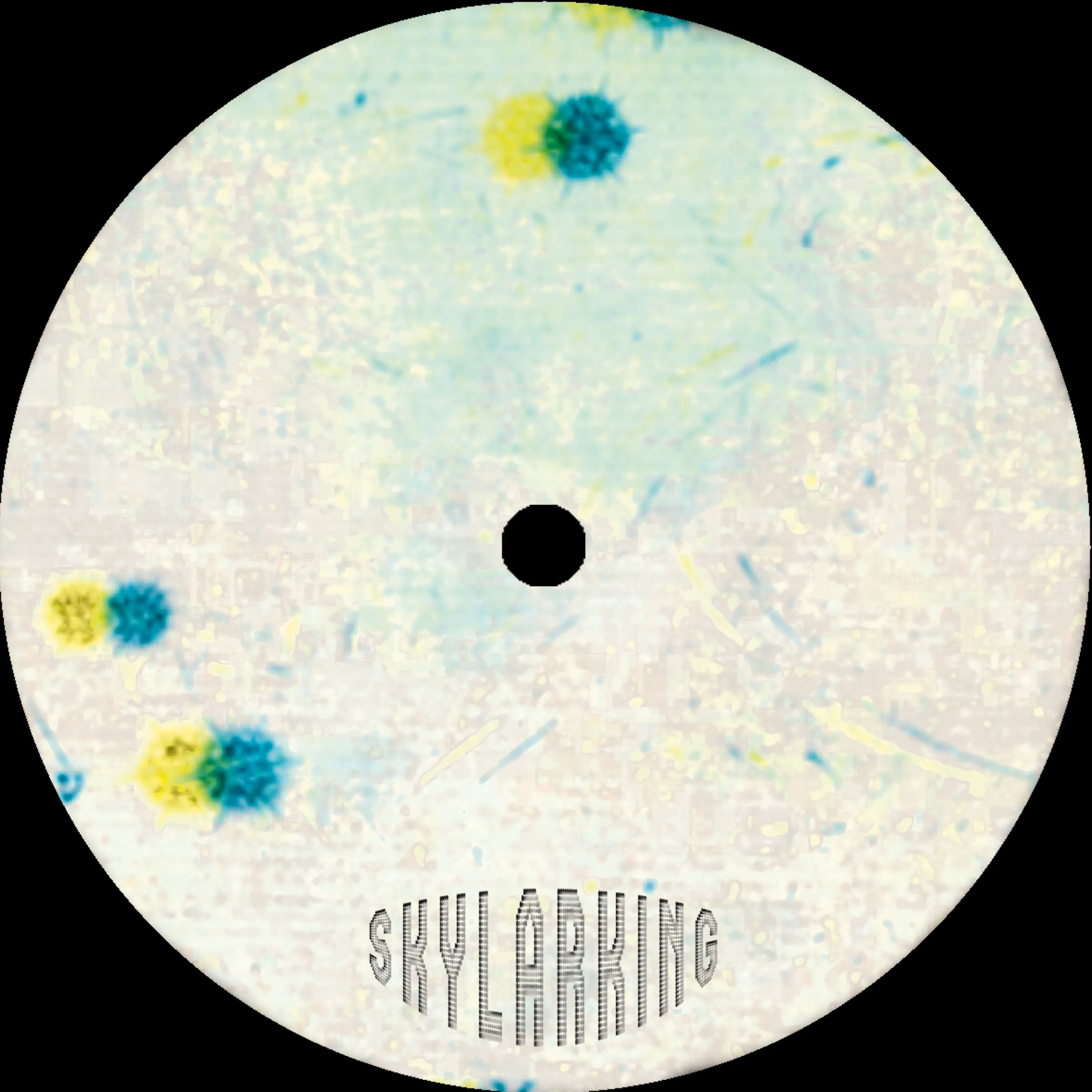 SL Jung - Coherence : 12inch