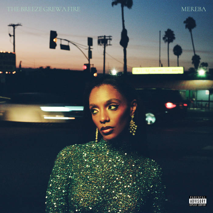 Mereba - The Breeze Grew a Fire : LP