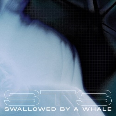 STS - Swallowed By A Whale (Incl. Danny Daze x Jonny From Space & Warzou Remixes) : 12inch