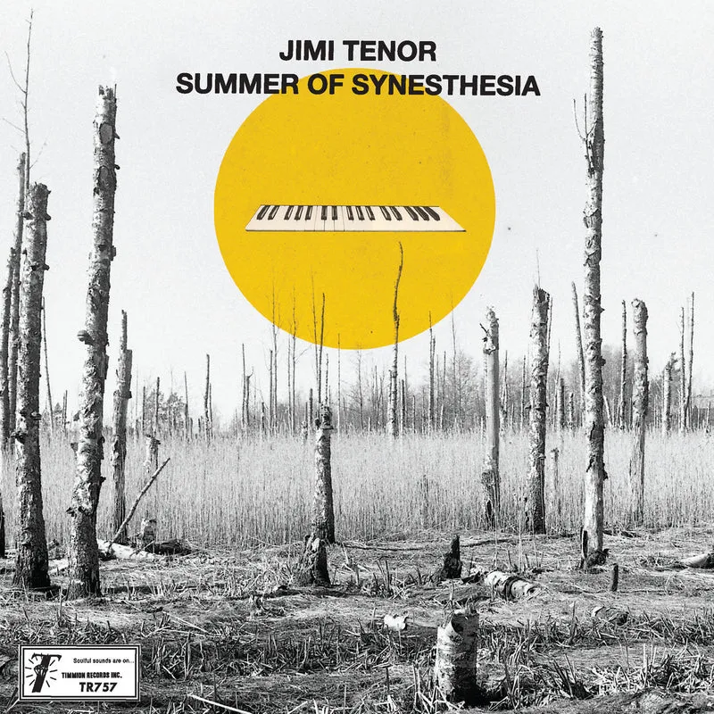 Jimi Tenor & Cold Diamond & Mink - Summer Of Synesthesia : 7inch