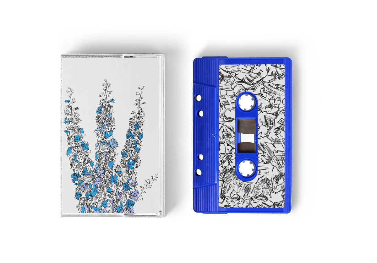 Davis Galvin - Music to Watch Seeds Grow By 002: Davis Galvin - Prism (Delphinium Elatum) : Tape